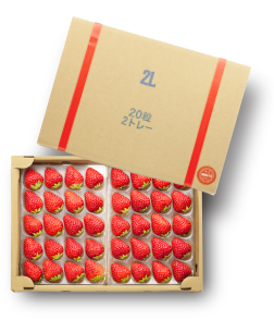 紅ほっぺ2Lサイズ