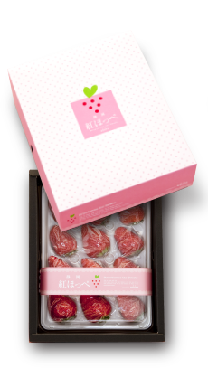 ギフトボックス1パック